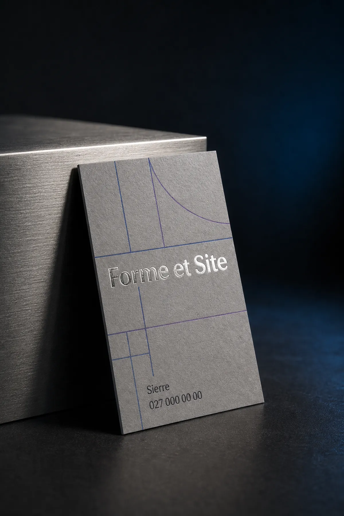 Carte grise dressée contre un bloc d'acier brossé, marque en argenture allumée par une lumière froide rasante - carte de visite dorure